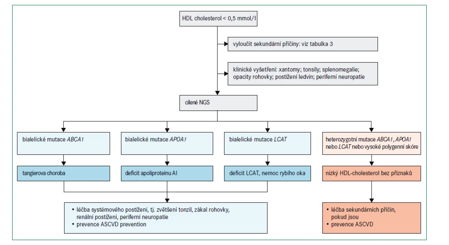 Algoritmus pro diagnostickou a léčebnou rozvahu u nízkých hladin HDL-cholesterolu (hypoalfalipoproteinemie) 